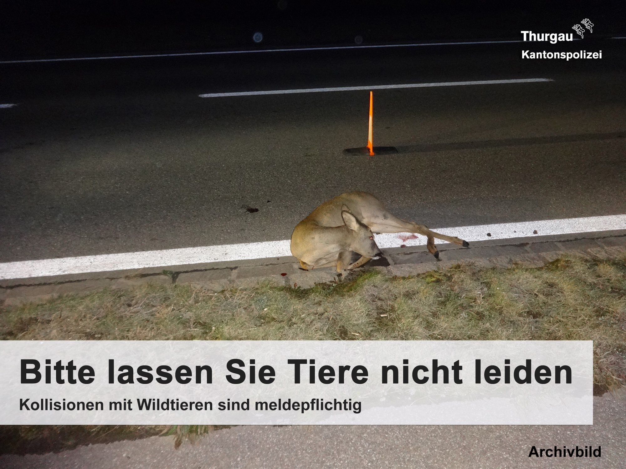Bei Dämmerung müssen Autofahrer besonders achtsam sein. (Symbolbild Kantonspolizei Thurgau)