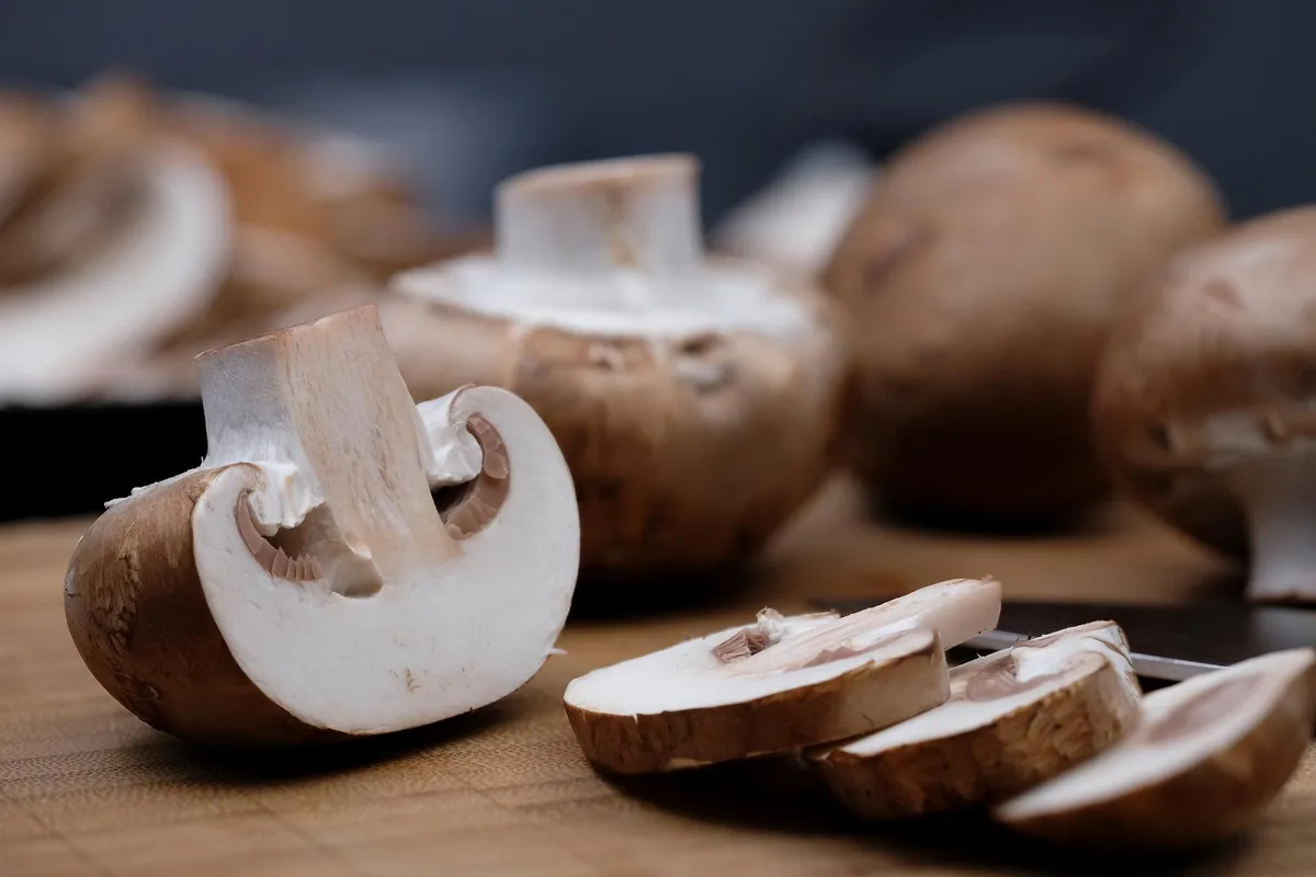 mushroom-gb9800556d_1920 Etwas weniger Schweizer Champignons und Edelpilze und eine herausfordernde Produktion