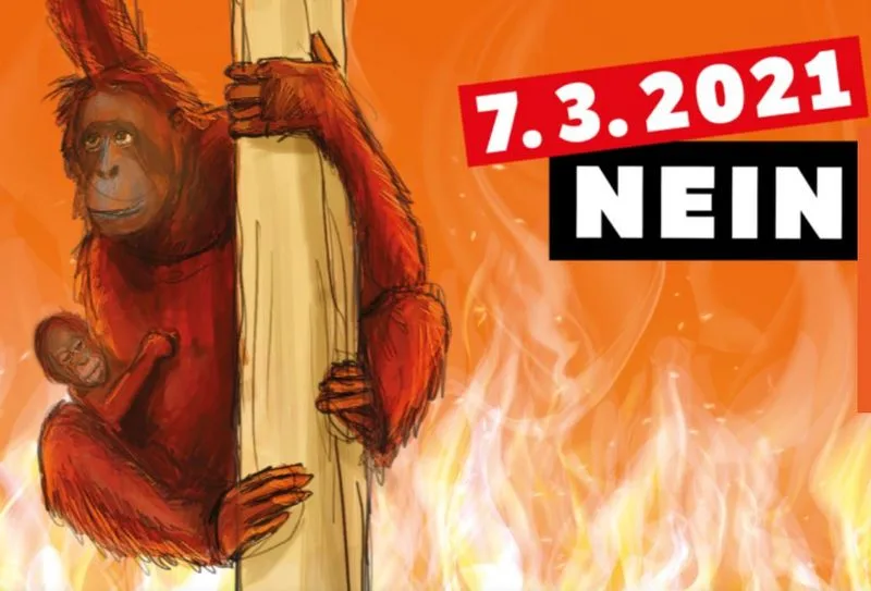 e024e1d4d4a329f0e62b30290714ad72e275b3e7 Der Verein «Stop Palmöl» besteht aus 16 Organisationen. (Screenshot/stop-palmoel.ch)