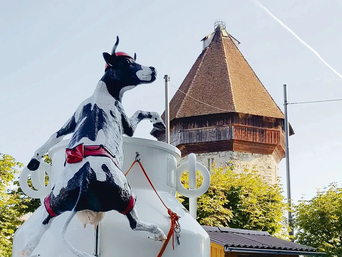 545375925cae9425330521392cf964d44ffe94a6 Kühe in Luzern: Bauern brachten Tiere – auch lebendige – in die Stadt, um mit Konsumenten ins Gespräch zu kommen. (Bilder Franziska Jurt)
