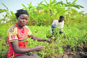 Nach dem Bürgerkrieg in Uganda sind viele Menschen traumatisiert, was den Wiederaufbau erschwert.
