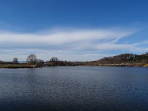Der Moossee liegt im Norden der Stadt Bern. Er befindet sich in einem Naturschutzgebiet, das von stark landwirtschaftlich genutzten Flächen umgeben ist. Der Eintrag von Pflanzenschutzmitteln ist deshalb hoch. (Bilder (Universität Bern)