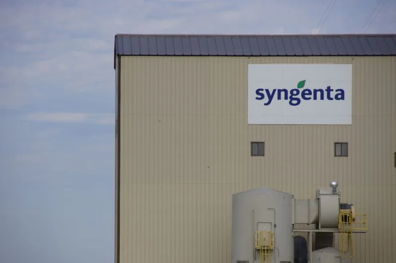 80b2a236f4a33ddb8e8b530c65b901e6a3255476 Syngenta sieht Möglichkeiten in der KI. (Bild lid/mr)