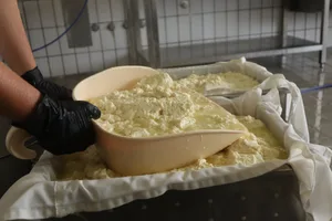 Nach dem Gerinnen wird die Sojamasse in Gefässe gepresst. Produziert wird in einer ehemaligen Käserei.