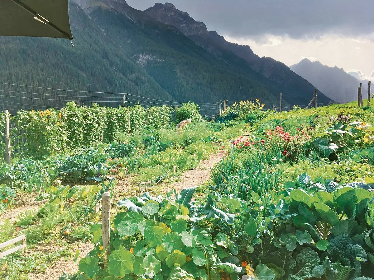 c735e9ac9557d49783344b0cd2d68925529aba2a So präsentiert sich Cilgias Garten im Unterengadin auf einer Höhe von 1200 Metern. Eine Überraschungskiste ist stets mit saisonalem Gemüse, Blumen und Früchten gefüllt.(Bild zVg)