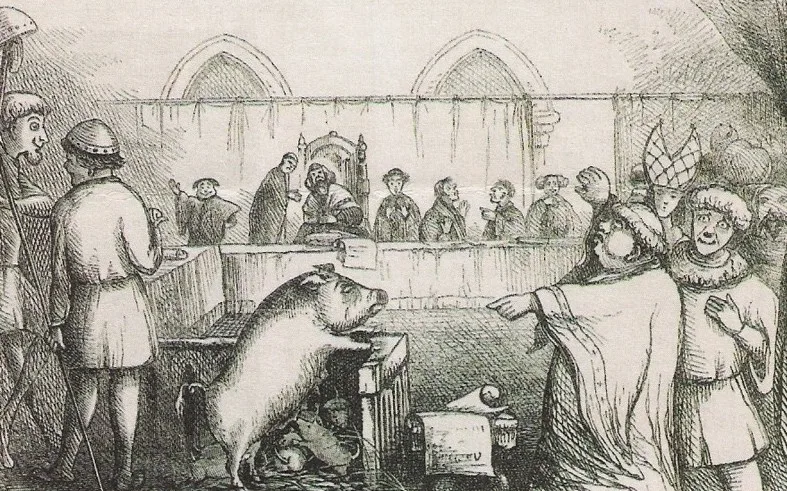 3a0f6355e676a742e904bc7094b5473c5053652b Im 15. Jahrhundert wurde ein Prozess gegen ein Schwein und seine Ferkel geführt. (Bild Histoire de la folie)