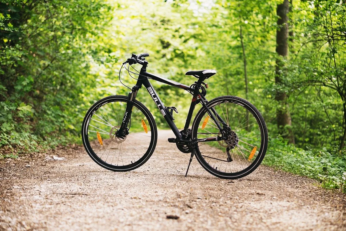 c6ca0706013f343080dc842c60b068a7cec3c99e Wo dürfen Velofahrer kurven und wo befinden sich Wildruhezonen? – Solche Dinge regelt ein Waldentwicklungsplan. (Symbolbild Pixabay)