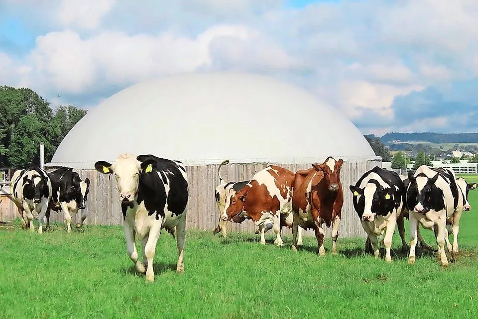 f089b3308982bcfdc785ca97b33f3e1368ba80a7a3c1f180c0470b54f124f0af Biogas aus Hofdünger wird wirtschaftlich interessant. Auf dem Markt gibt es Systeme für Kleinanlagen.