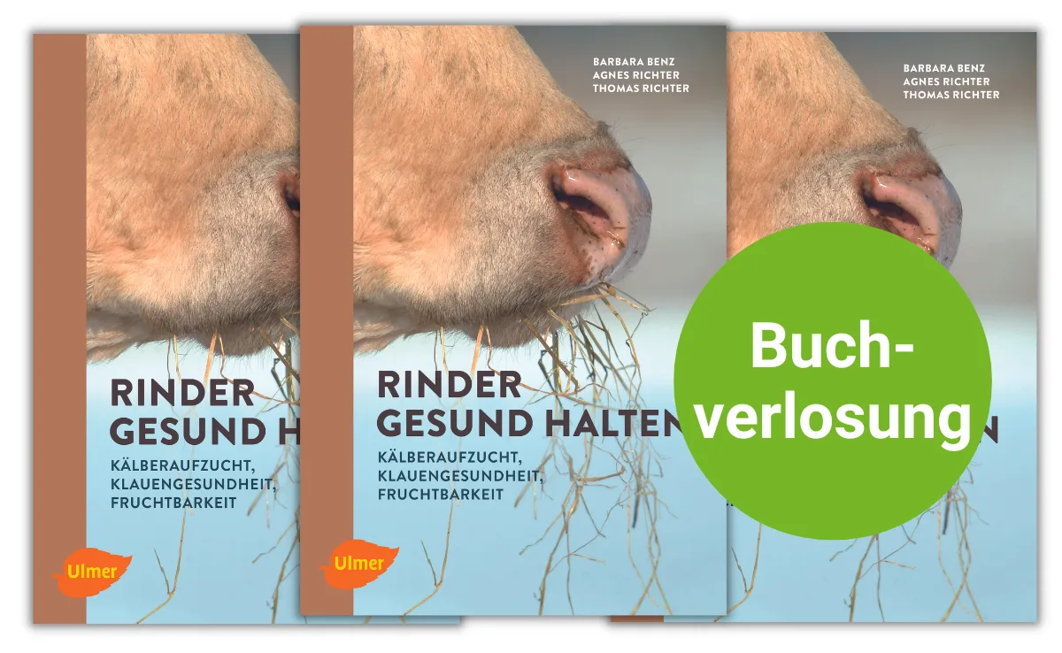 Rinder-gesund-halten-Buch Vor dem Buch-Cover prangt ein grüner Punkt, auf dem "Buchverlosung" steht.