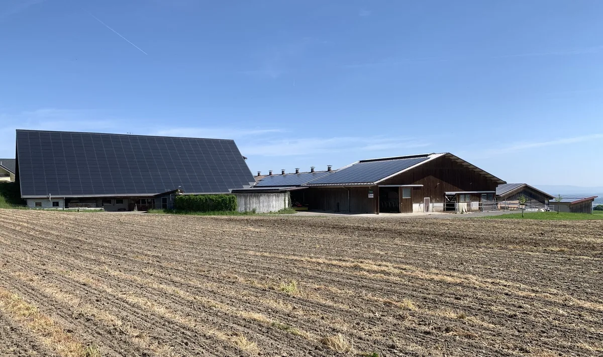 Solaranlagen_auf_mehreren_Gebäuden_Bauernhof Solaranlagen: Wer keinen Strom liefert, verdient mehr