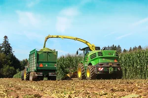 Bei Stay-Green-Sorten bleibt der Stängel optisch länger grün, reift aber trotzdem ab. Davon darf man sich für die Erntezeitpunktbestimmung nicht täuschen lassen.