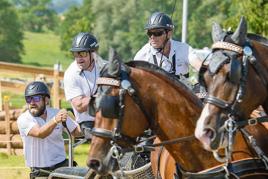 Willy Birrer an den Leitseilen, begleitet von Landwirt Beat Limacher (Mitte), Wiggen LU, und Pirmin Durrer, Kerns LU.(Bild Photoflix)