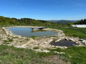 Retentionsteich zum Regenwasserrückhalt aus Keylines.