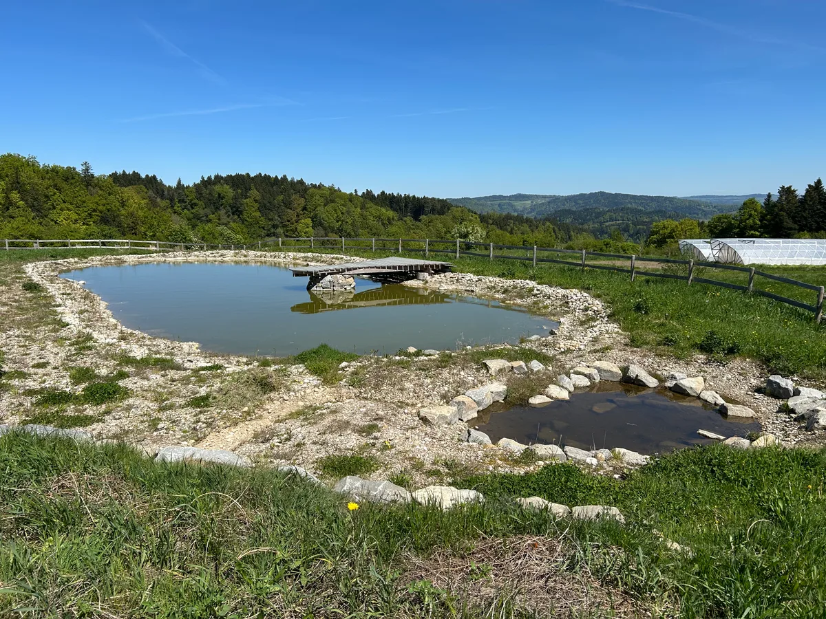 Retentionsteich zum Regenwasserrückhalt aus Keylines. 