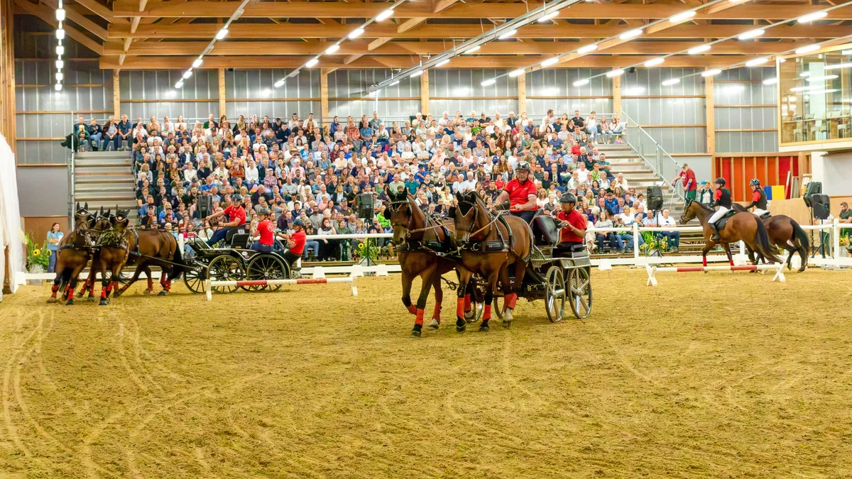 5 PGA Pferdenacht Gfeller Freibergerquadrille des Pferdezuchtvereins Rothrist. Mit dem Vierspänner war der international erfolgreiche Marcel Luder dabei.