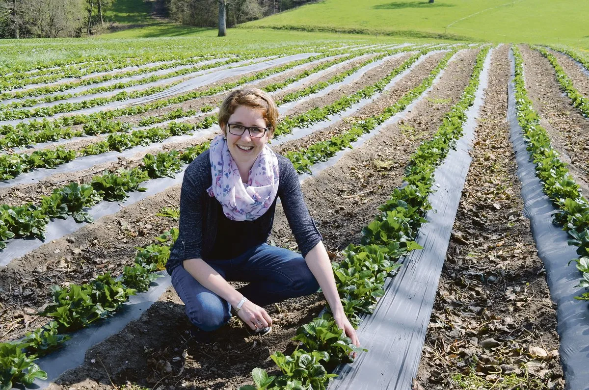 d5fde9f3102c9050351dfc7e78f4c4d56c8db7b2 «Es ist eine besondere Herausforderung, in der Erdbeersaison alle Arbeiten unter einen Hut zu bringen», meint Sandra Keller-Hasler. Sie organisiert Erntehelfer, sorgt für Nachschub in den Selbstbedienungs-Kühlschränken, richtet Bestellungen und vieles mehr.(Bild is)