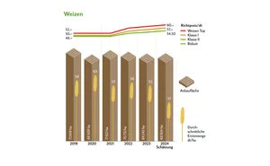 Mit 37 dt/ha liegen die Erträge deutlich unter dem Mittel der letzten Jahre. Die Preise wurden um je 1.50 Franken erhöht. Quelle: Swiss Granum