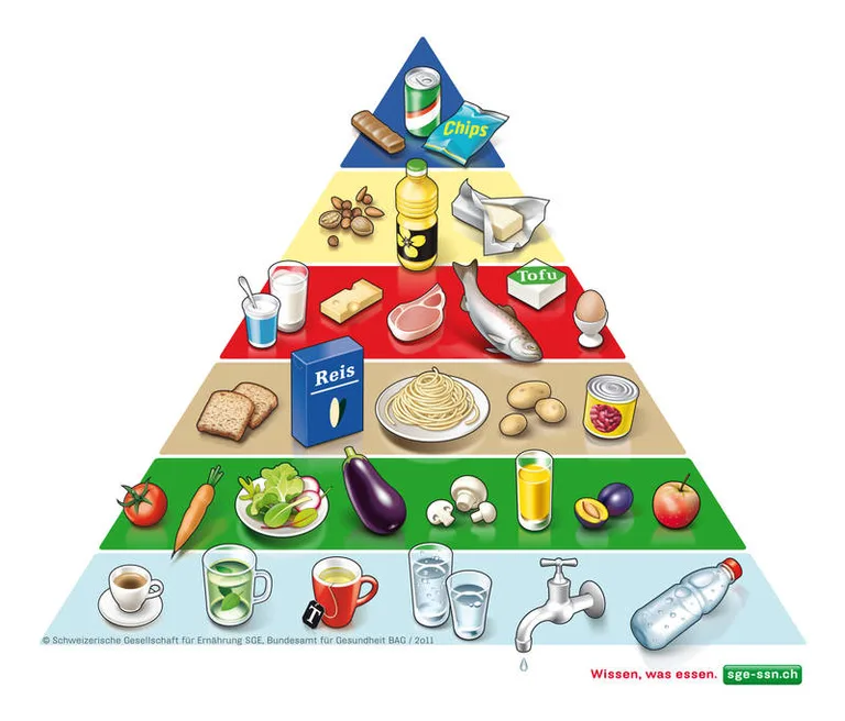 f4c7e49a51bd900a0af65e8da5ff06f16944c3ce Die Lebensmittelpyramide. (Bild BLV)