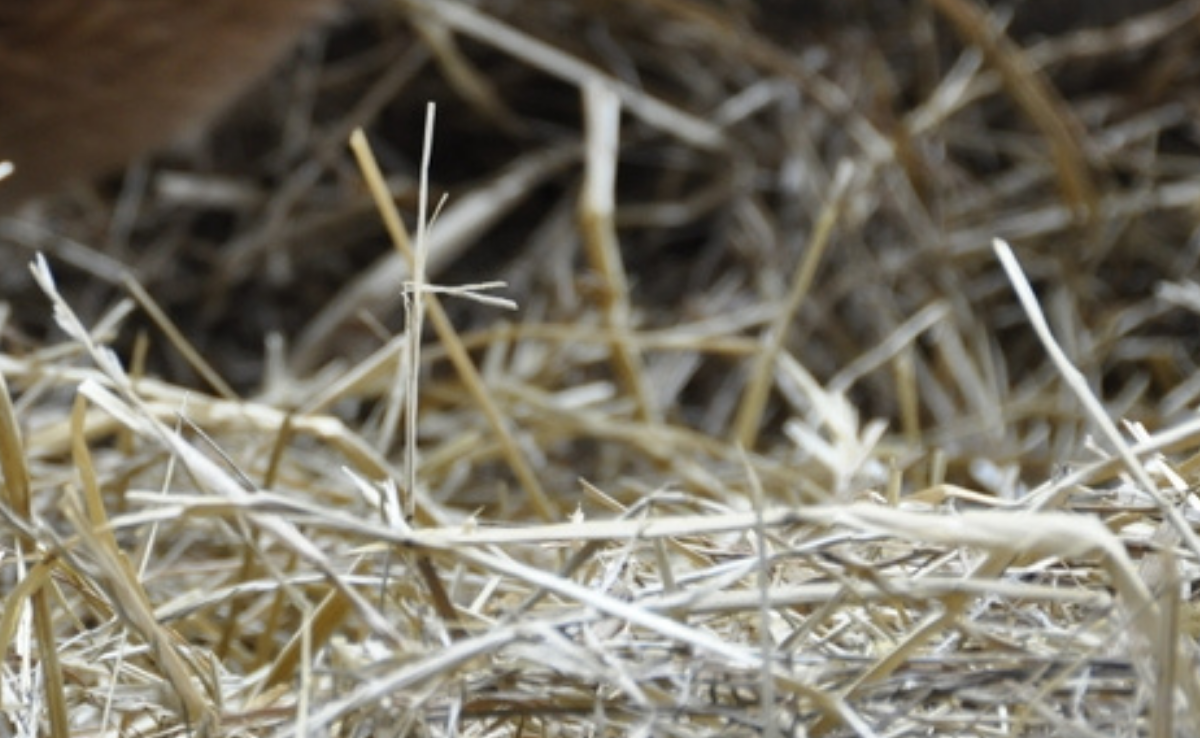 Wegen schlechter Qualität und geringer Nachfrage sinken die Preise für Bio-Heu und -Emd