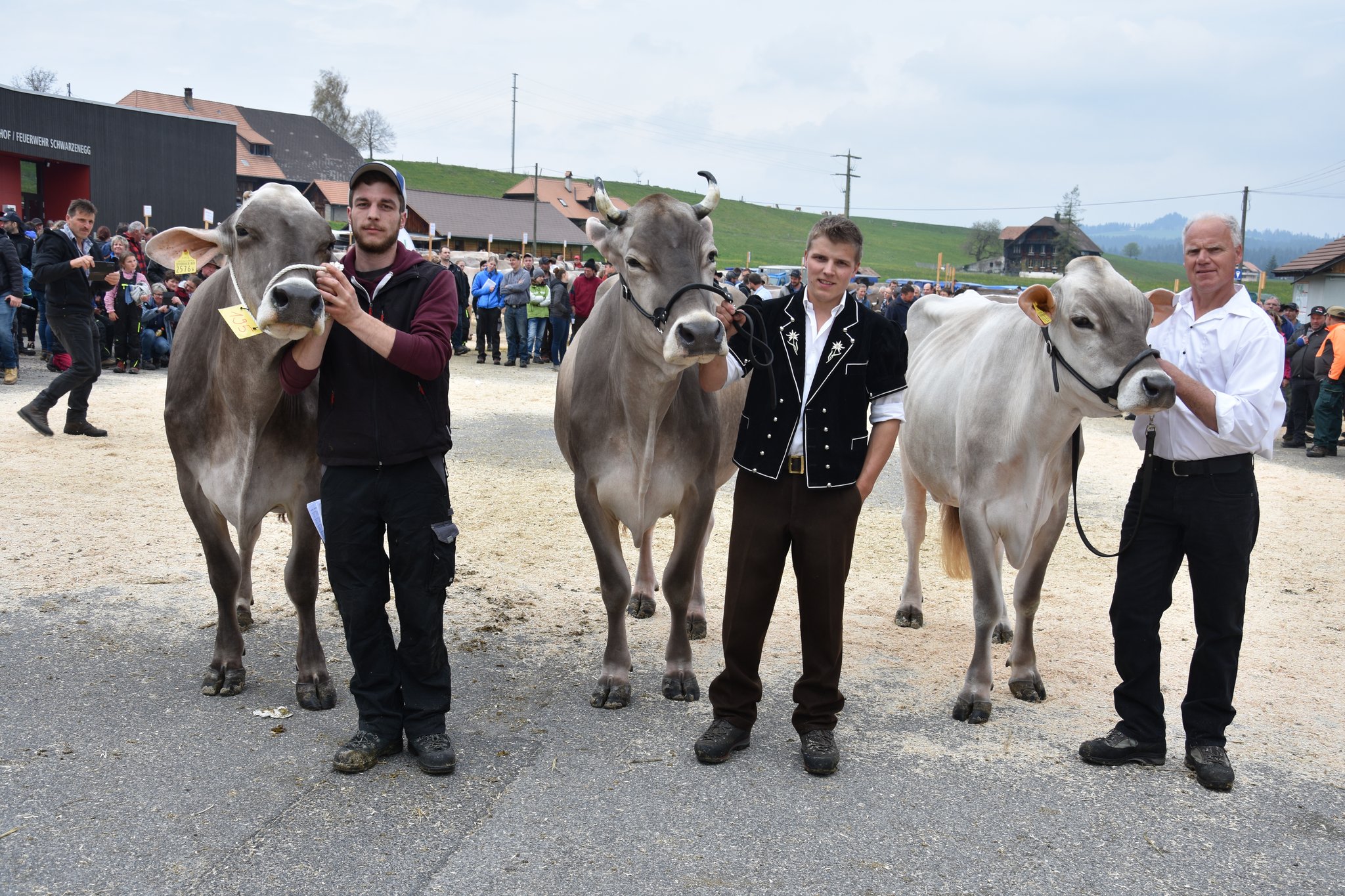 Hohe Qualität an der Regionalschau in der Schwarzenegg
