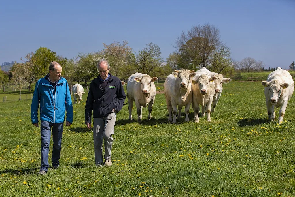 ccd2af004f95efec2256b9974a80c9757fb8f541 Tierarzt Oskar Luder (links) und Landwirt Fredy Schmied arbeiten seit Jahren eng zusammen. Sie wenden Komplementärmedizin und Schulmedizin an. Bild: Pia Neuenschwander
