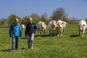 Tierarzt Oskar Luder (links) und Landwirt Fredy Schmied arbeiten seit Jahren eng zusammen. Sie wenden Komplementärmedizin und Schulmedizin an. Bild: Pia Neuenschwander