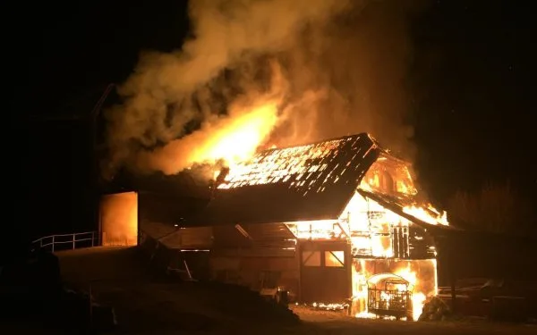 de2f980b9d589e3ba7af31fb62e79107818359f0 Das Bauernhaus in Düdingen FR, brannte bis auf die Grundmauern nieder. Drei Personen wurden leicht verletzt, Tiere kamen dabei nicht zu Schaden. (Bild Kantonspolizei Freiburg)