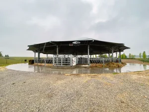 Was aussieht wie ein Zirkuszelt ohne Seitenwände ist ein Roundhouse-Stall. Das Dach mit 30 Meter Durchmesser bietet den Tieren Schutz vor Regen, gleichzeitig aber auch frische Luft und Komfort.