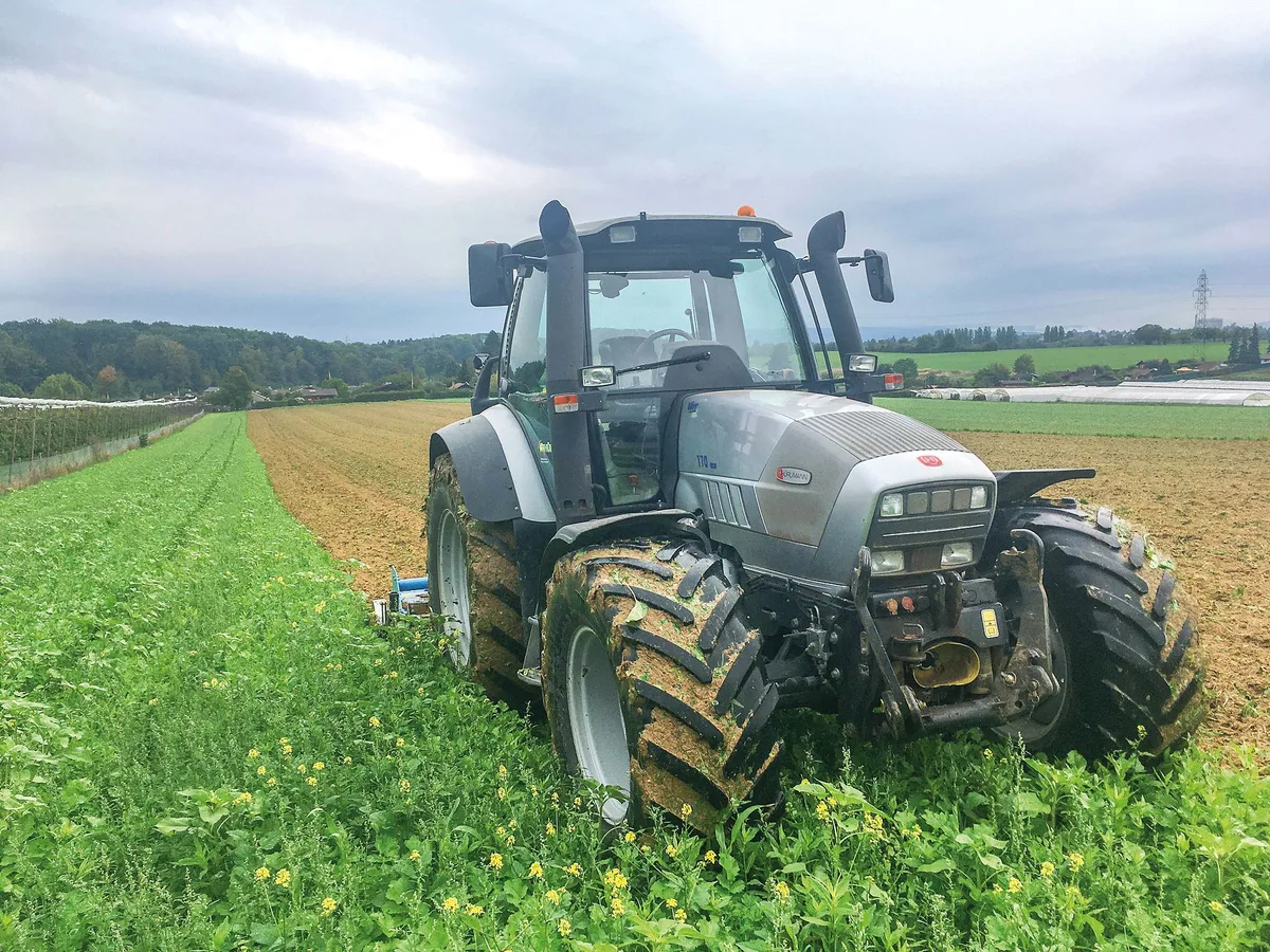 0c2df13d9aeb89a4450ffb8b141891b06ca328cf Landwirt Martin Thürkauf arbeitet die Gründüngung mit einer Schälfräse oberflächlichin den Boden ein. (Bild Martin Thürkauf)