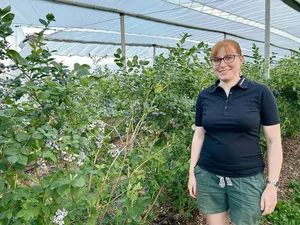 Die Beerenberaterin vom Arenenberg, Carole Wyss, steht vor der Heidelbeersorte Topshelf. Die Beeren dieser aufrecht wachsenden Sorte reifen gleichzeitig ab.