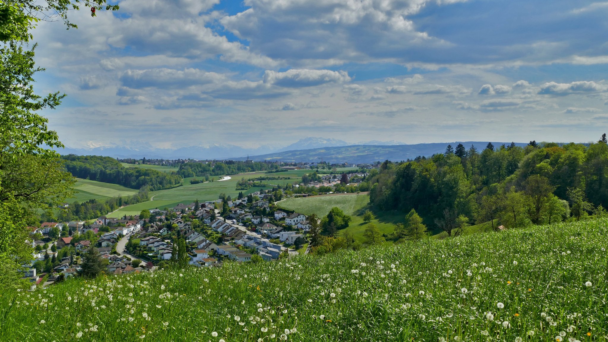 Gerichtsentscheid zum Schutz von Fruchtfolgeflächen vor der Bauzone gefällt