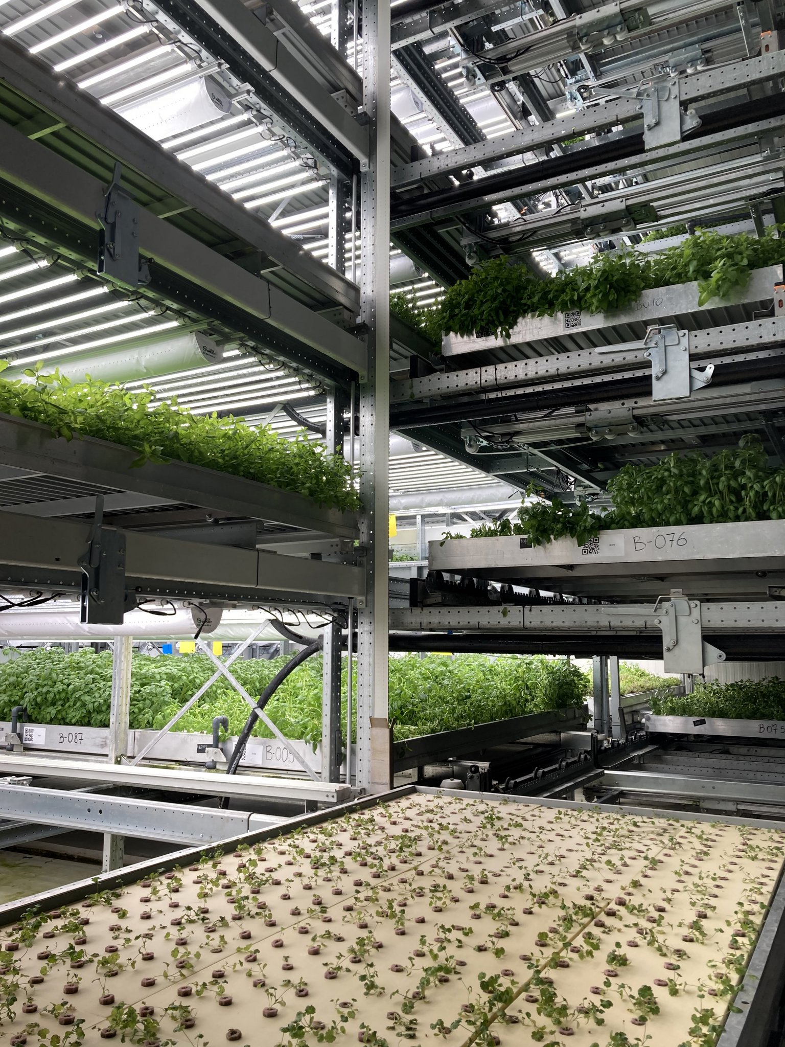 Vertical Farming ist auf Landwirtschaftsbetrieben noch nicht realisierbar