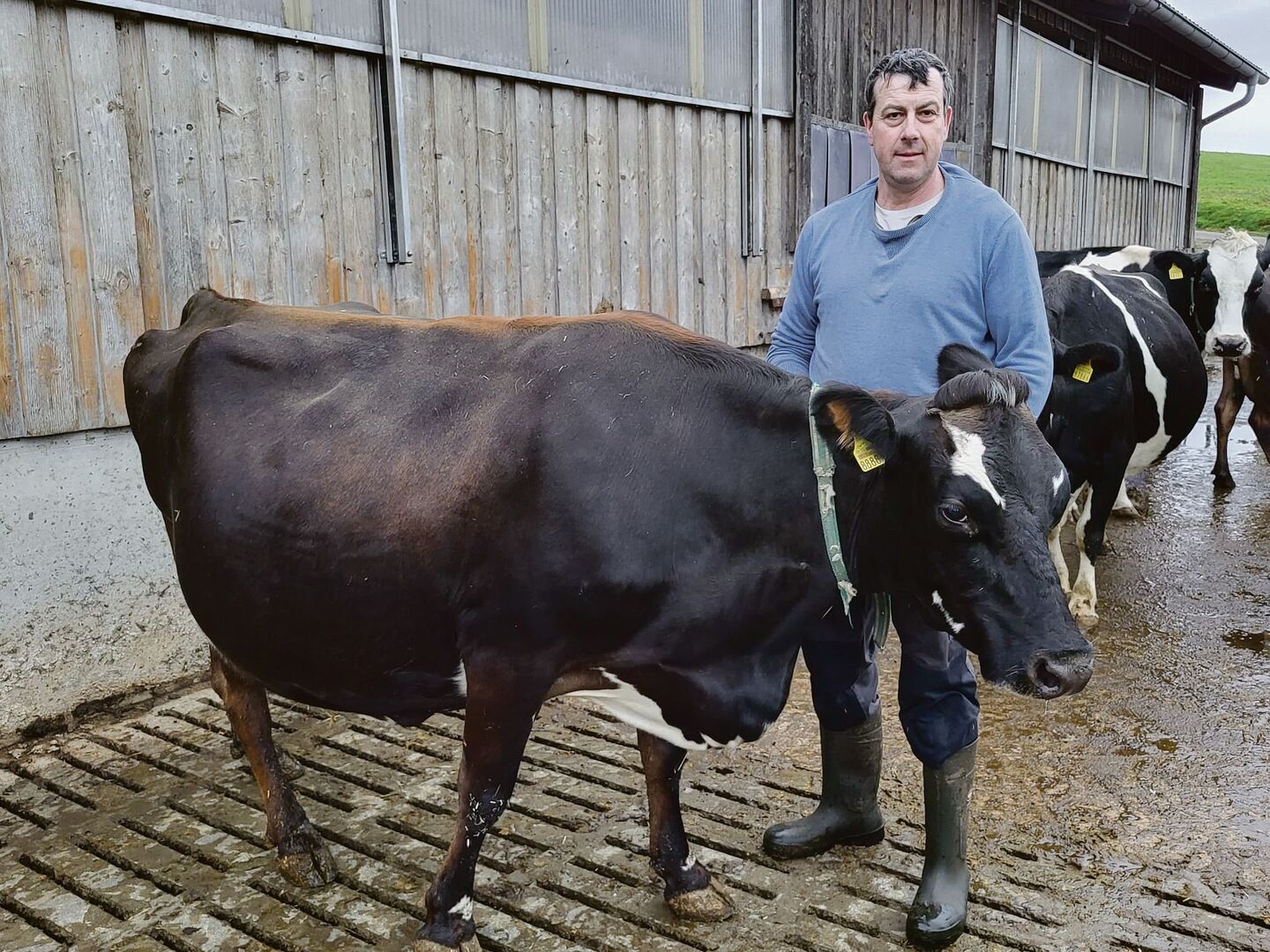 Beat Schürch und seine Narzisse, die erste «richtige» Kiwi-Cross, die der Meisterlandwirt gezüchtet hat.