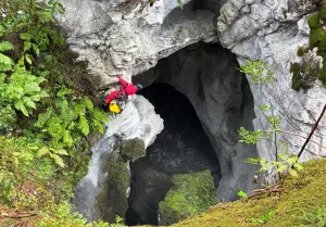 Von oben unsichtbar: Zwei der Rinder lagen in einer Höhle mitten in der Schlucht.