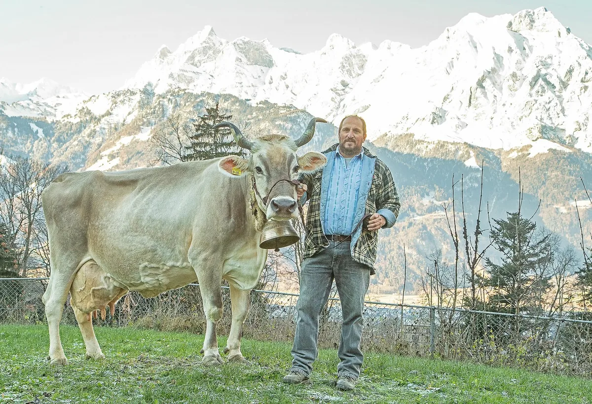 CORINA_CH_120.0550.8400.7_Riedi_Peter_941184_125000kg_2022_BVCH18964 Archivnummer: BVCH18964