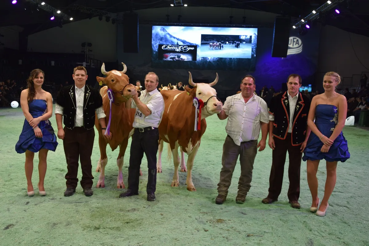 c047ae74e3e72e3374546a52a2c03ed6915c1fb8 Das Schlussbild der Swiss-Fleckvieh-Schau (v.l.n.r.): Die Grand-Champion Incas Roxane von Christian Delabays aus Le Châtelard FR und die Reserve Incas Anemone von Michel und Michael Rey aus Le Châtelard FR. (Bilder Peter Fankhauser)