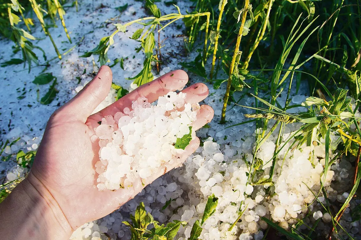 Der Klimawandel ist da, ob wir wollen oder nicht