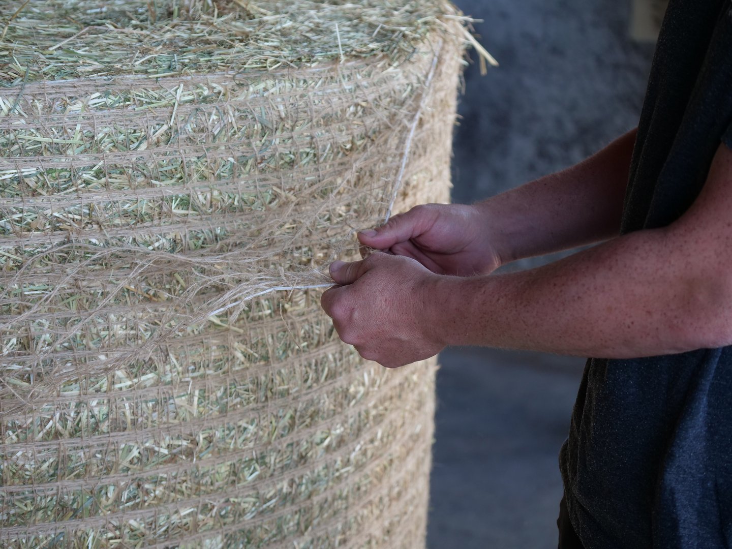 Ballennetz aus Jute: «Darauf hätte man eigentlich schon viel früher kommen sollen»