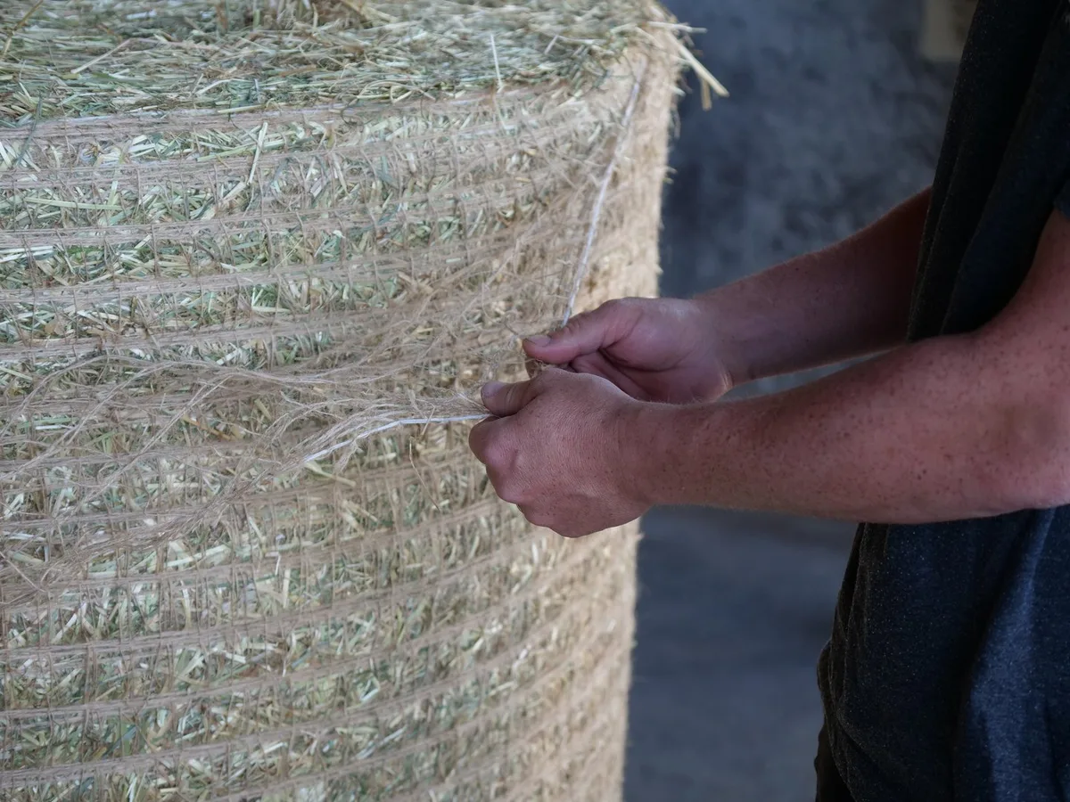 Ballennetz aus Jute: «Darauf hätte man eigentlich schon viel früher kommen sollen»