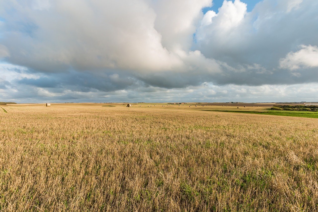 Felder in Dänemark. (Symbolbild Pixabay)