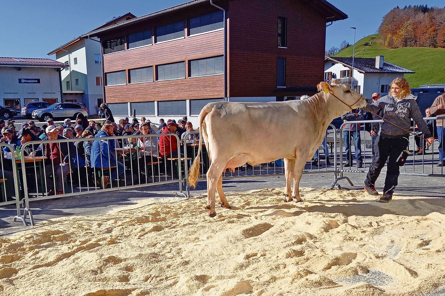 Weil die Auktion ohne Covid-Zertifikat durchgeführt wurde, fand die Versteigerung der Tiere im Freien statt.