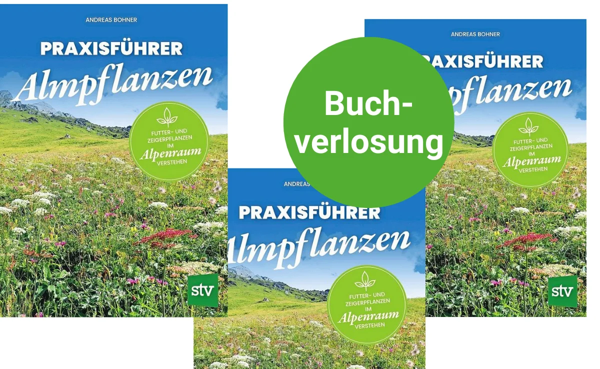 Almpflanze Besprechung und Verlosung: Mit dem «Praxisführer Almpflanzen» im Winter die Alppflanzen erkunden