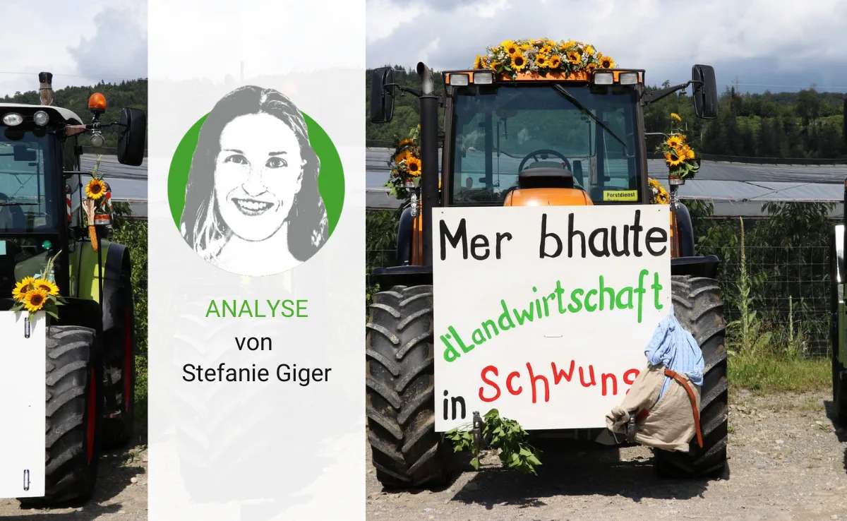 Mehr Anerkennung für das politische Engagement der Jungen