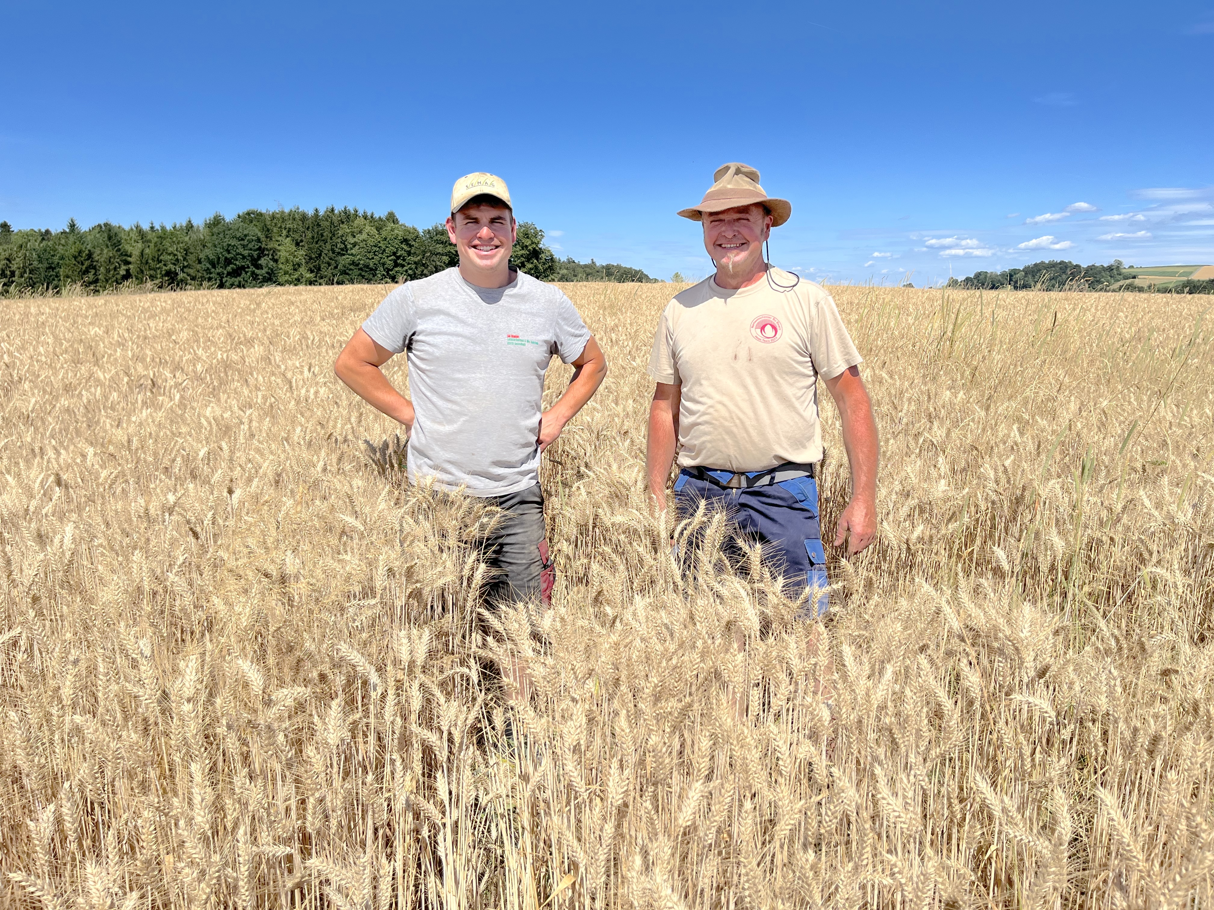 Christian und Otto Mollet, anfangs Juli im fast dreschreifen Winterweizen der Sorte Rosatch, den sie als Saatzüchter für die SEMAG produzieren. 