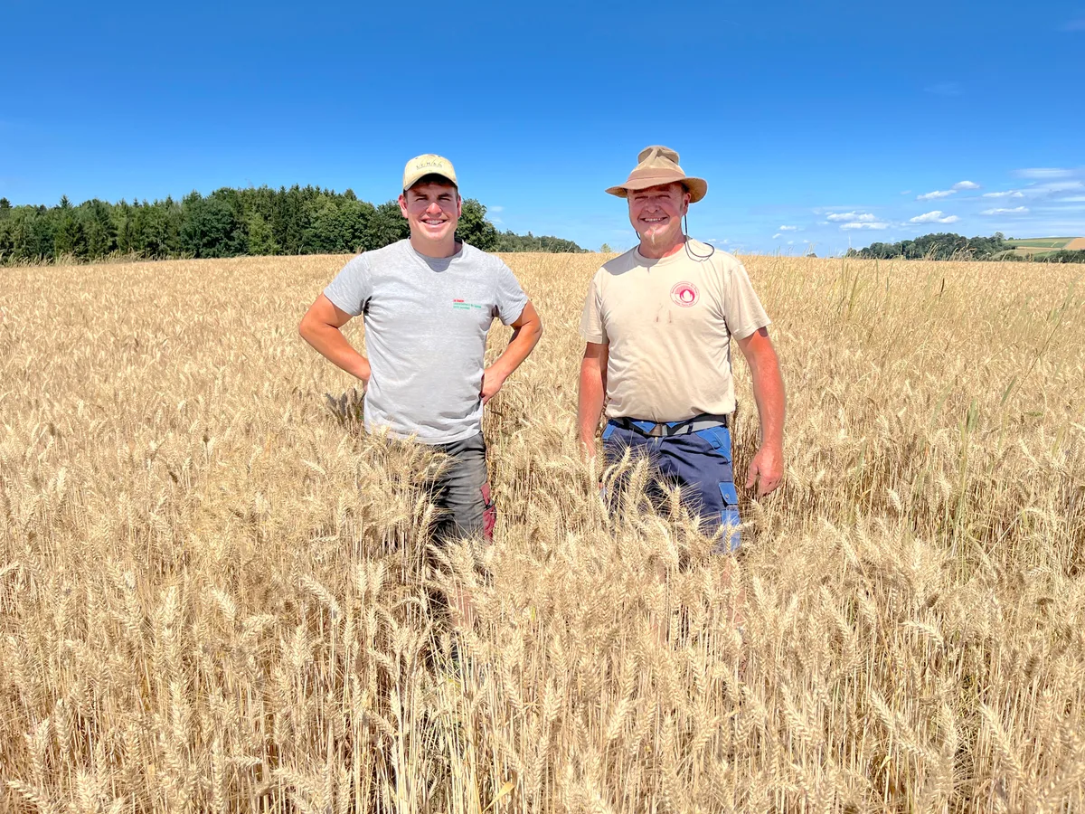 IMG_3982.jpg Christian und Otto Mollet, anfangs Juli im fast dreschreifen Winterweizen der Sorte Rosatch, den sie als Saatzüchter für die SEMAG produzieren.