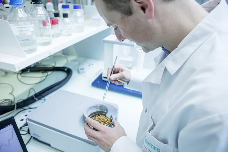 f6e17386b201f231ae9267cd8d487add955b78cc Der Insektensektor ist im Aufwind. (Bild lid/Bühler)
