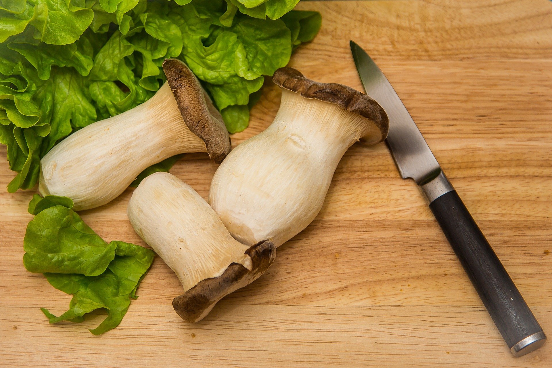 Schweizer Pilze wachsen weiter bei steigenden Produktionskosten