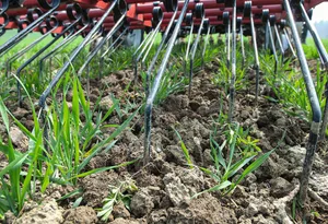 Der Striegel bringt viele Vorteile mit sich. Unter anderem eine hohe Flächenleistung und reihenunabhängiges Arbeiten. Zudem wird die Bestockung angeregt.