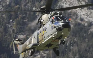 Mit einem Super-Puma-Helikopter der Schweizer Luftwaffe wurde die Flugrettung von Pferden trainiert. (Symbolbild Schweizer Armee)
