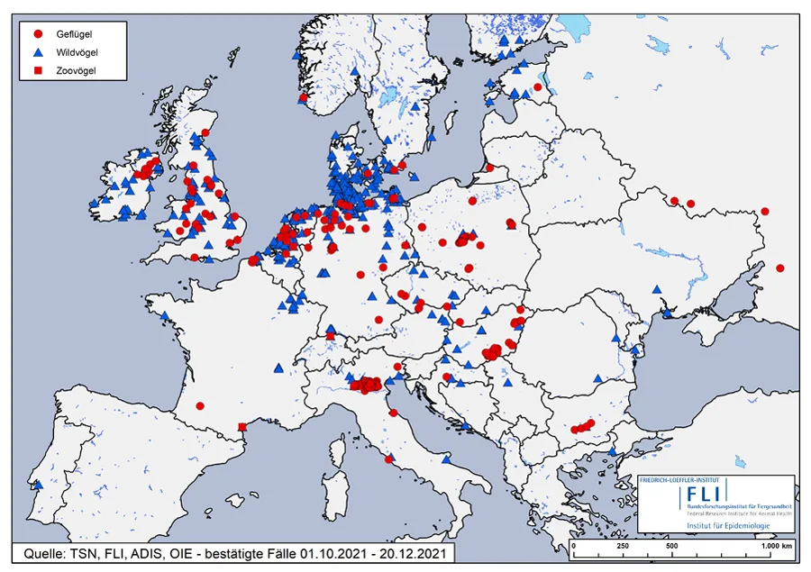 map_ai_eu_2021-12-20 Stärkste Vogelgrippe-Epidemie überhaupt in Europa